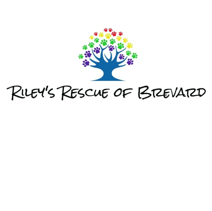 Riley's Rescue of Brevard