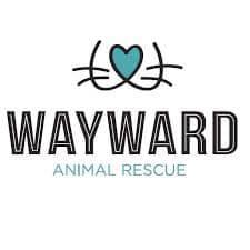 Wayward Whiskers Cat Rescue