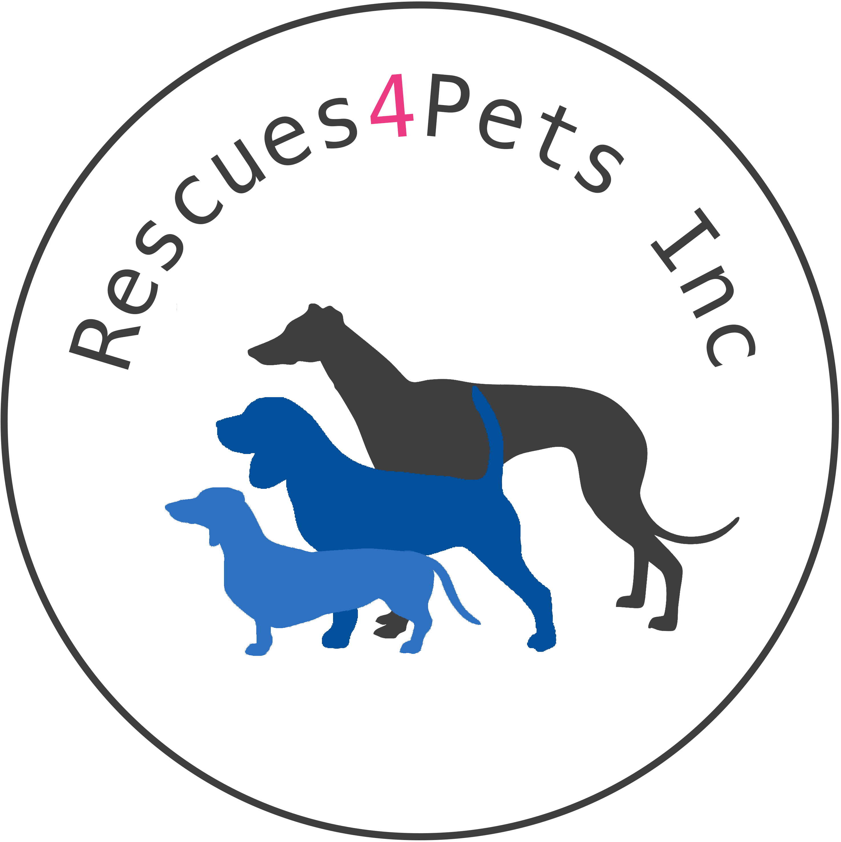 Rescue 4 pets