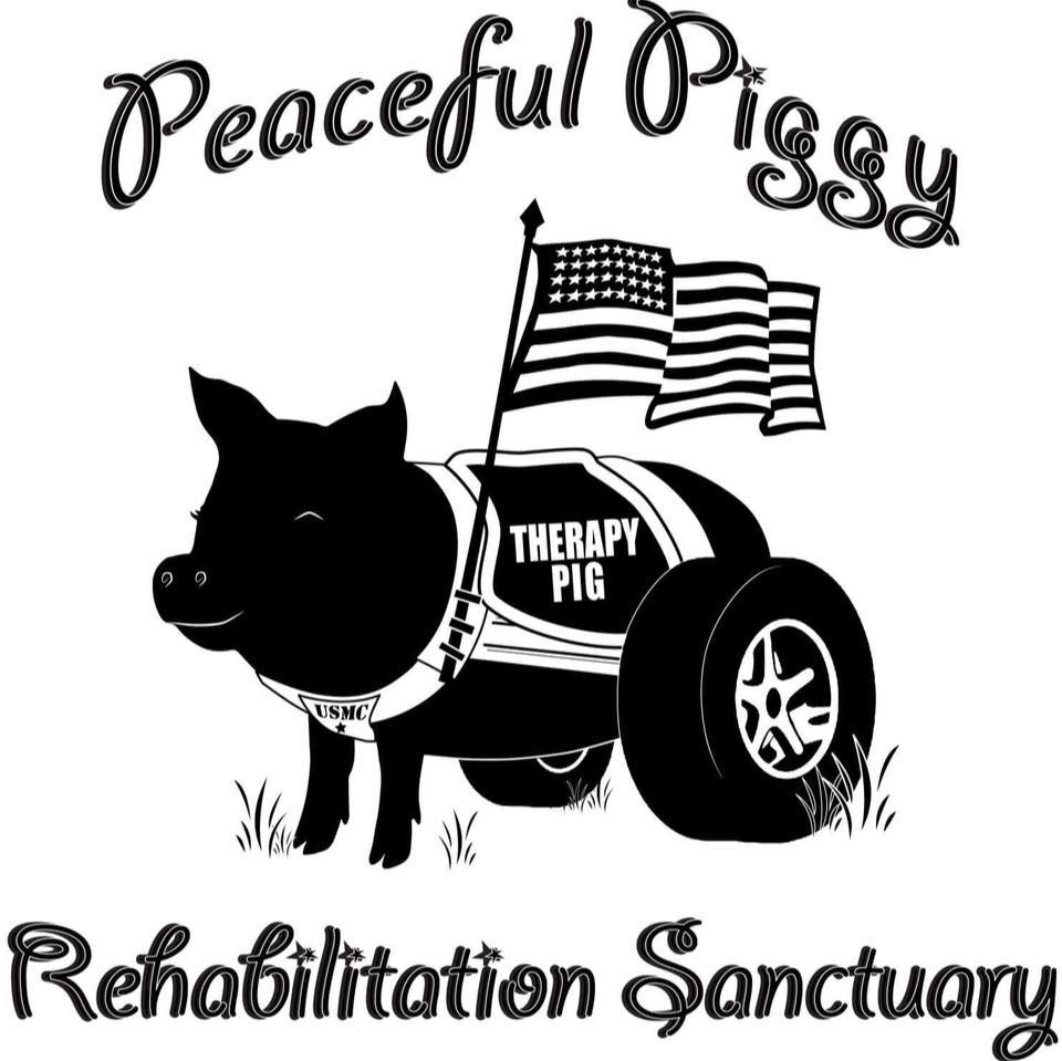 Peaceful Piggy Rehabilitation And Sanctuary