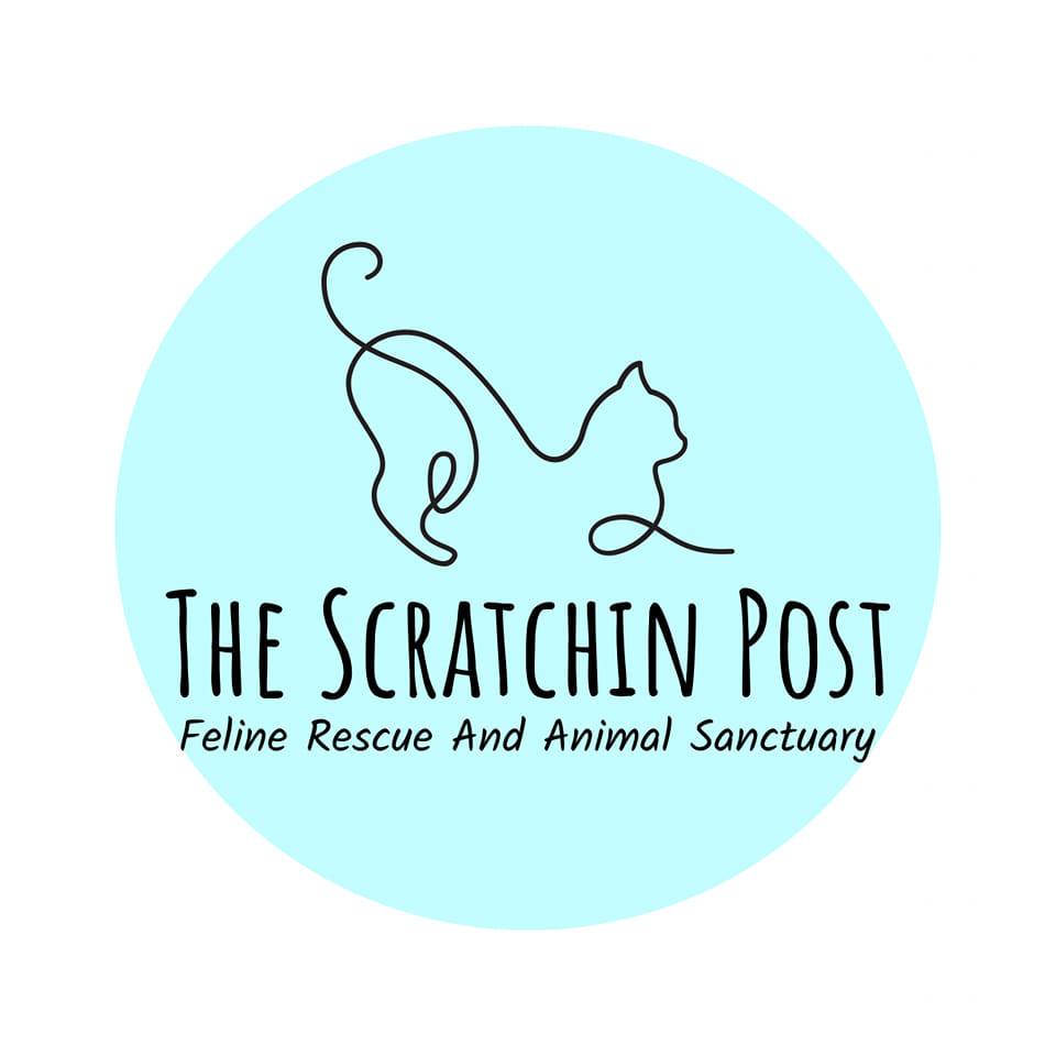 The Scratchin Post