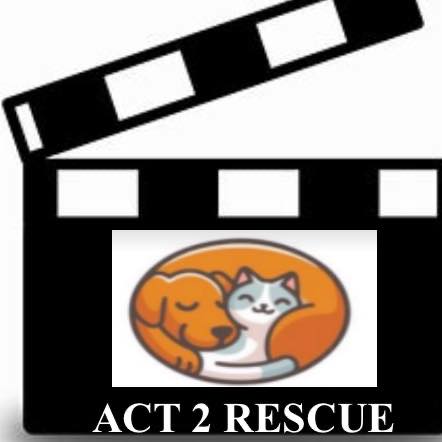 Act2Rescue