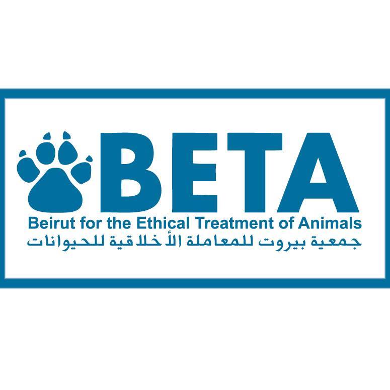 BETA