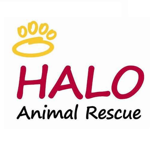 HALO Animal Rescue