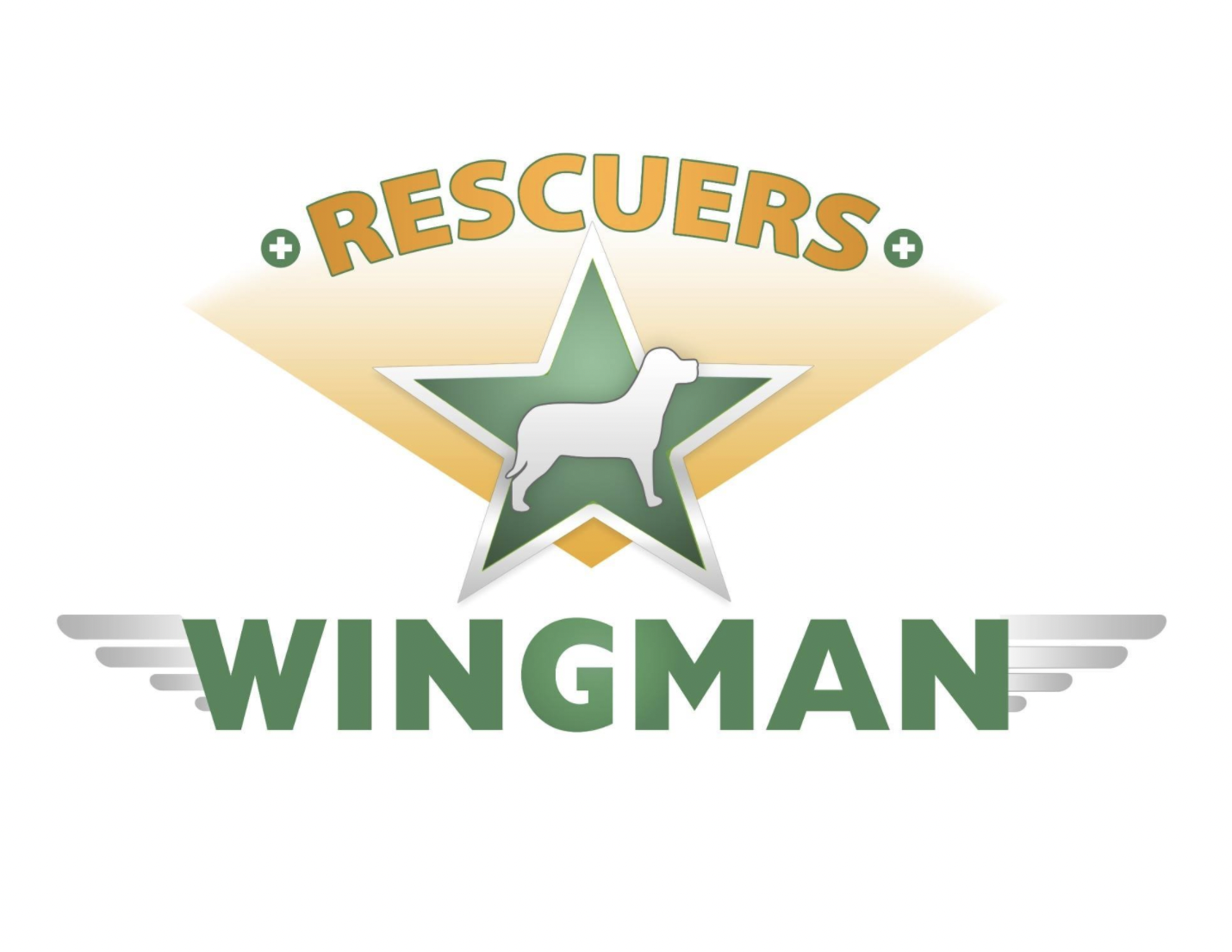 Rescuers Wingman