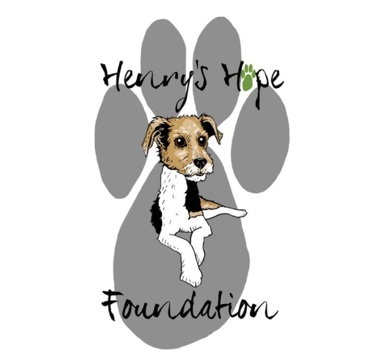 Henrys Hope Foundation Inc
