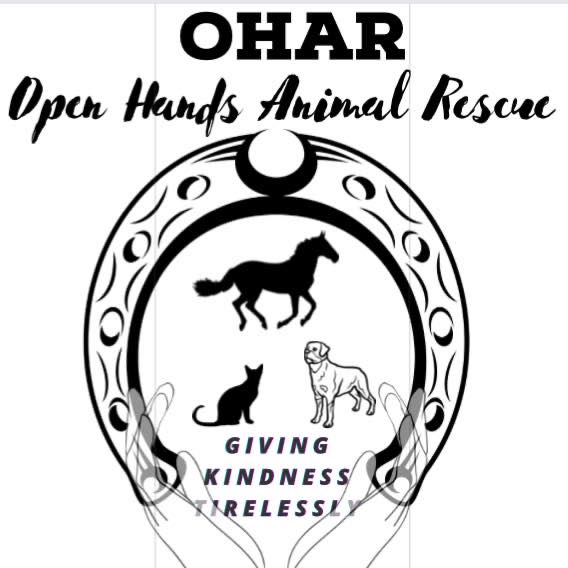 Ohar-Open Hands Animal Rescue