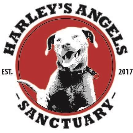 Harley’s Angels Sanctuary