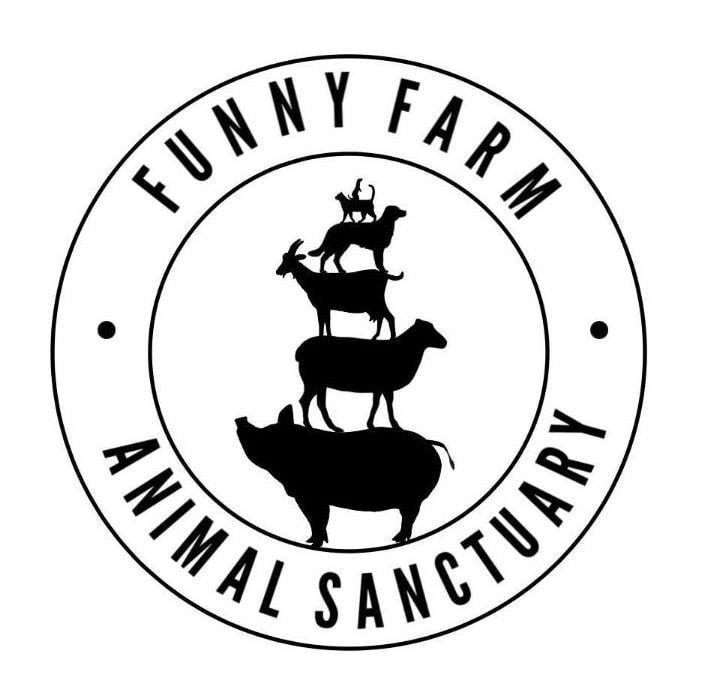 Funny Farm Animal  Sanctuary