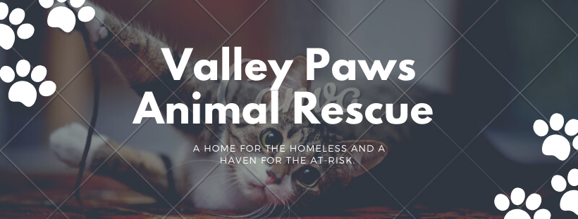 Valley Paws Animal Rescue