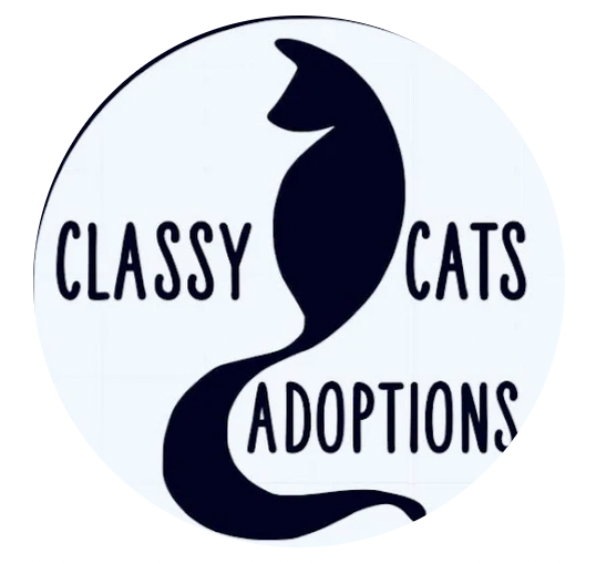 Classy Cats Adoptions Inc.