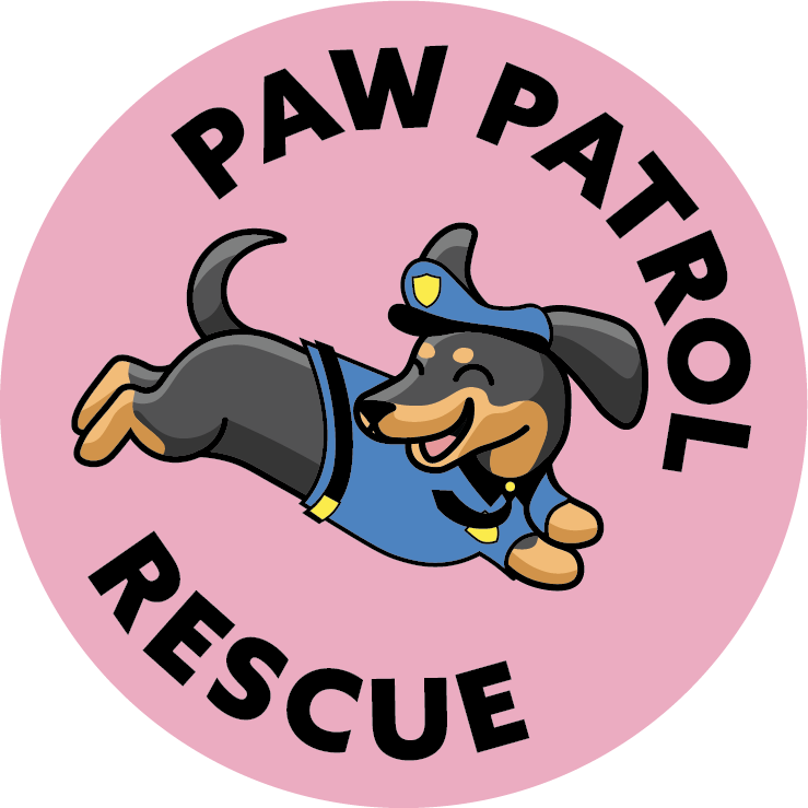 Paw Patrol Rescue