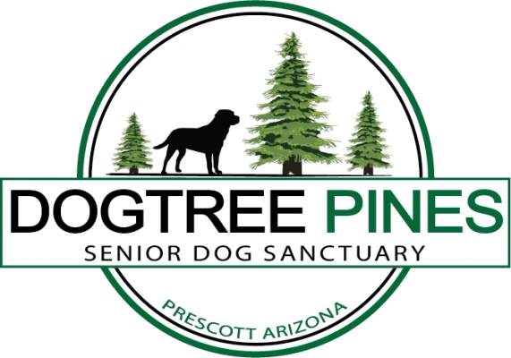 Dogtree Pines: Senior Dog Sanctuary