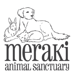 Meraki Animal Sanctuary Inc.