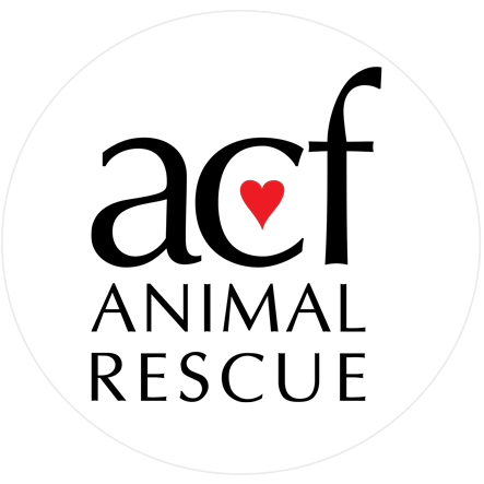 ACF Animal Rescue USA
