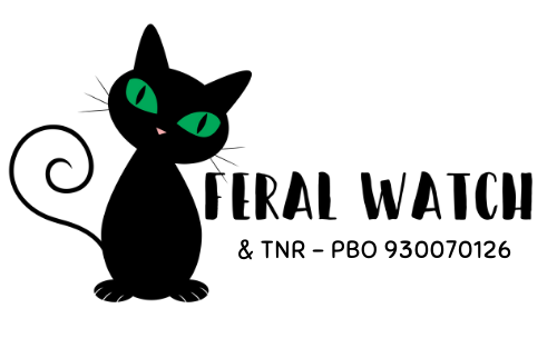 Feral Watch and TNR