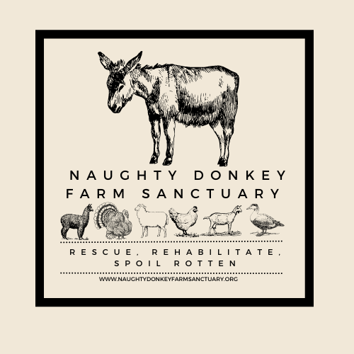 Naughty Donkey Farm Sanctuary Inc.
