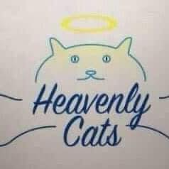 Heavenly Cats Inc 