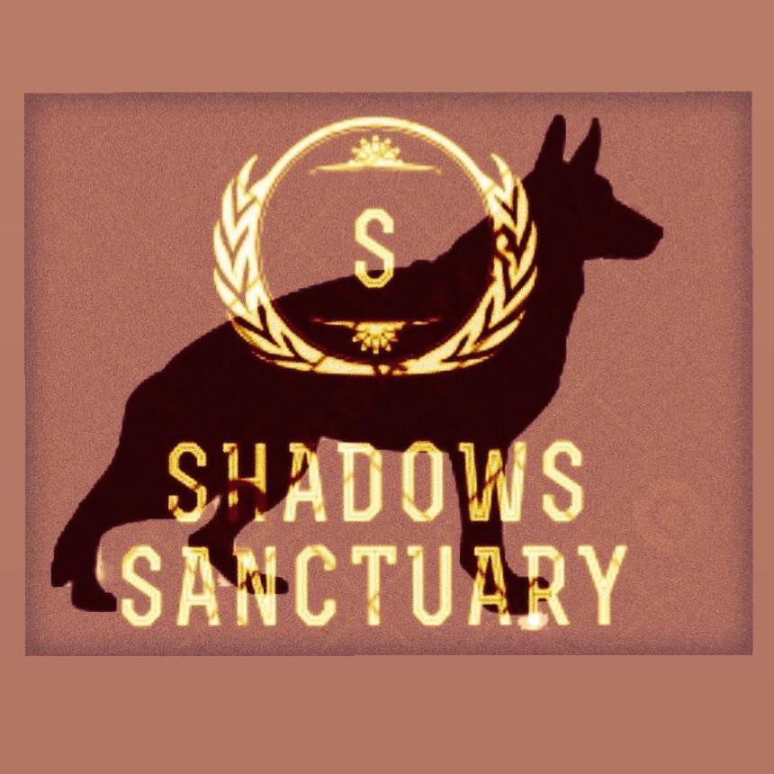 Shadows Sanctuary