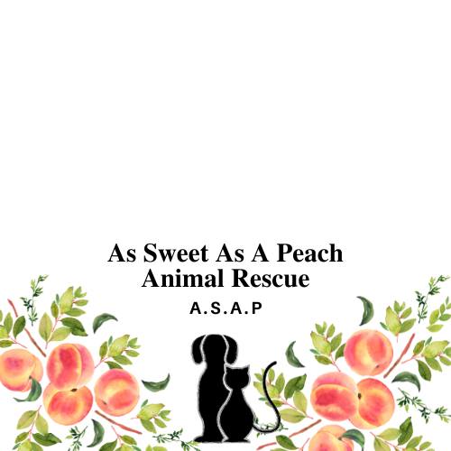 As Sweet As A Peach Animal Rescue