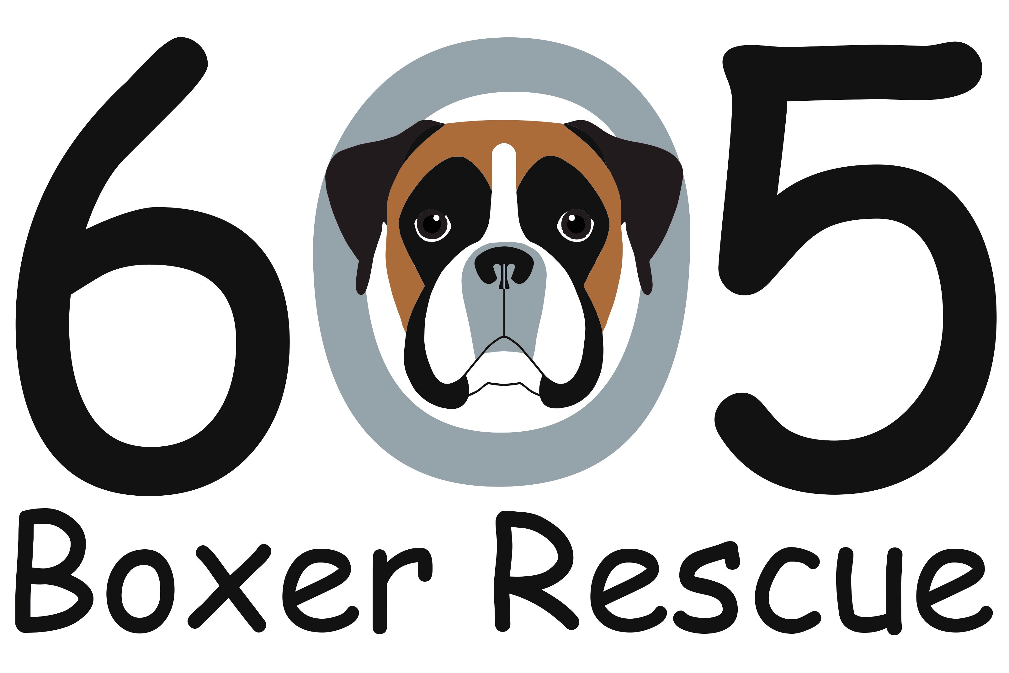 605 Boxer Rescue