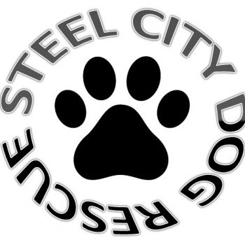 Steel City Kennel And Dog Rescue Inc.