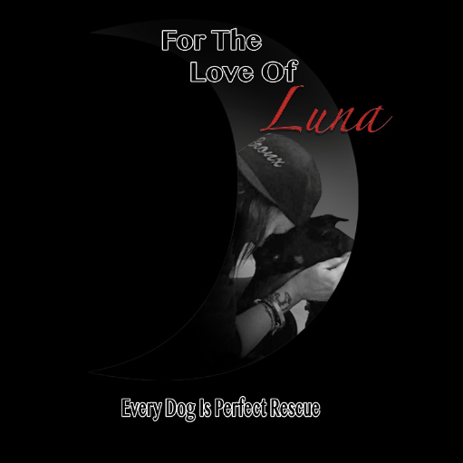 For The Love Of Luna