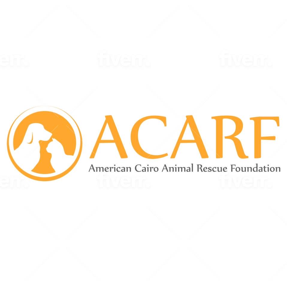 American Cairo Animal Rescue Foundation