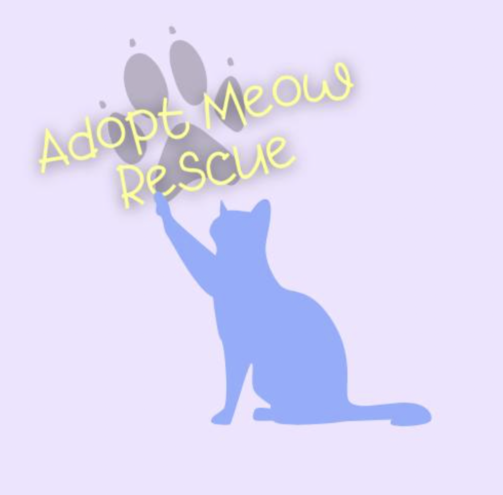 Adopt Meow Org