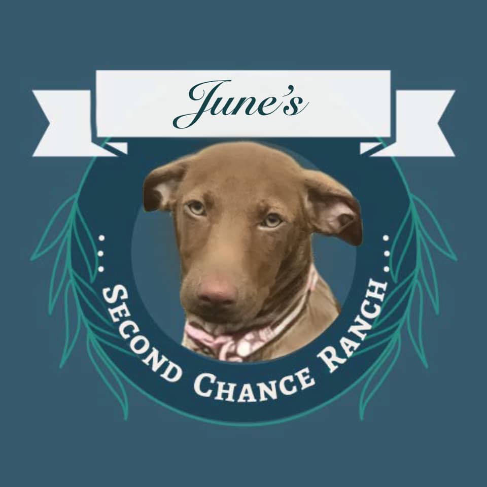 June’s Second Chance Ranch inc