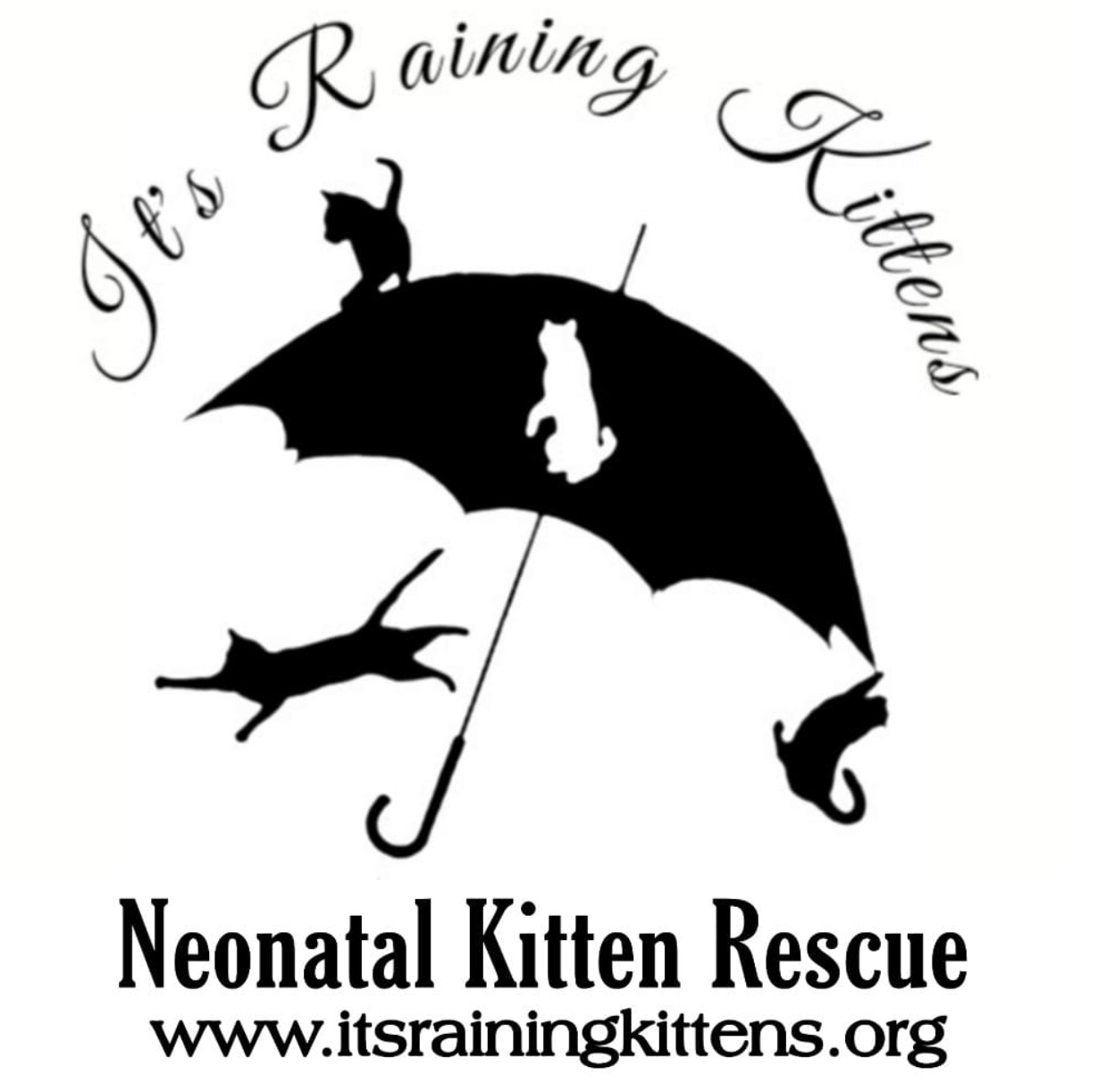 It's Raining Kittens , Neonatal Kitten Rescue