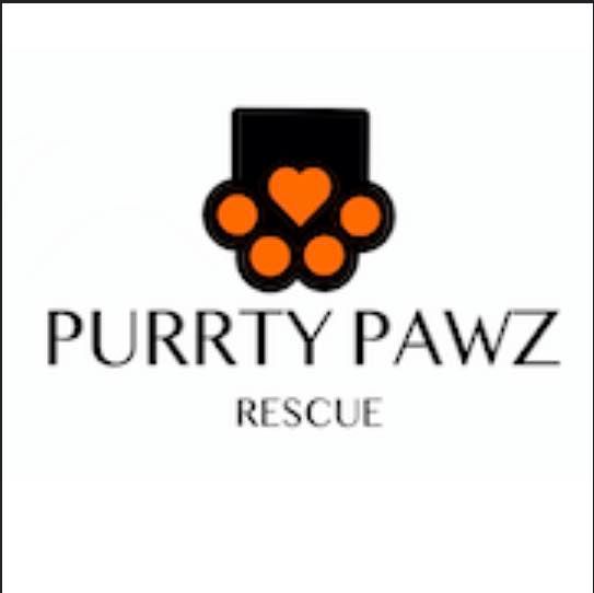 Purrty Pawz Rescue