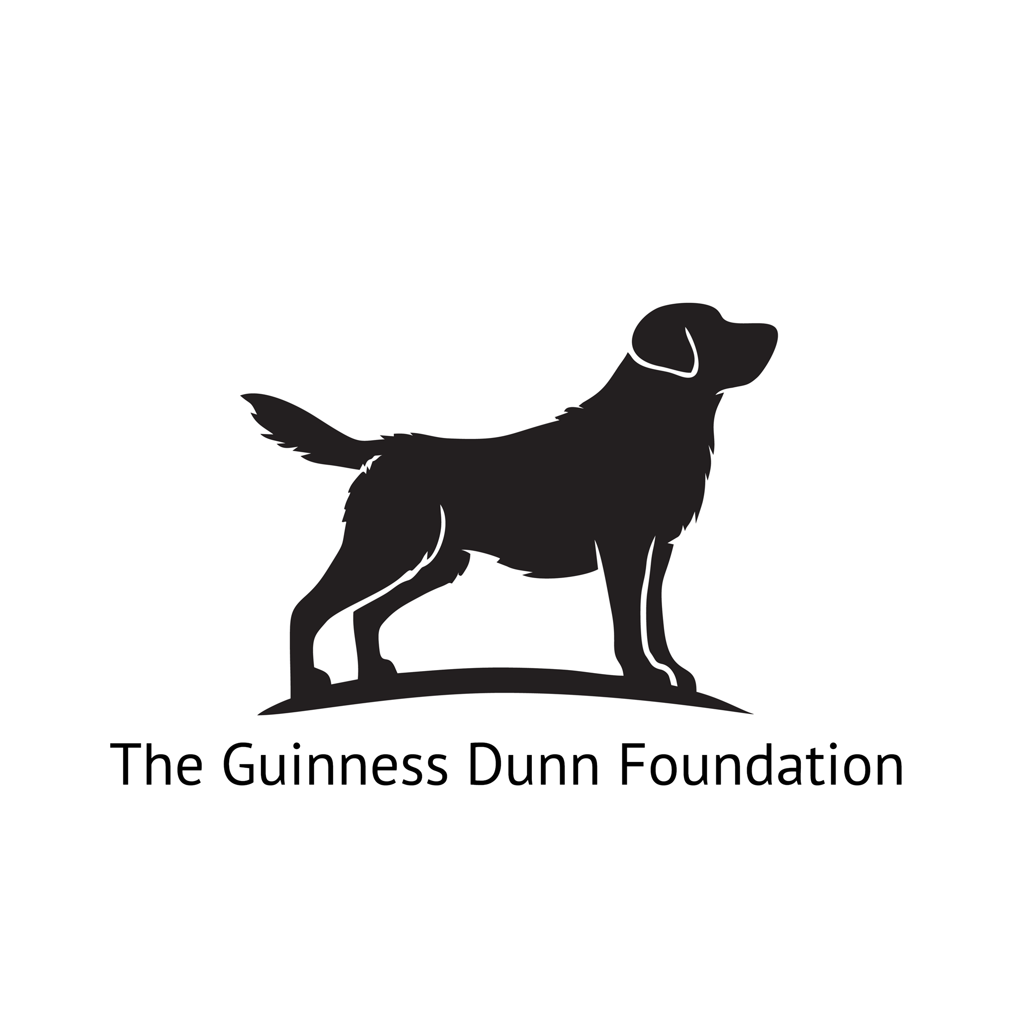 The Guinness Dunn Foundation