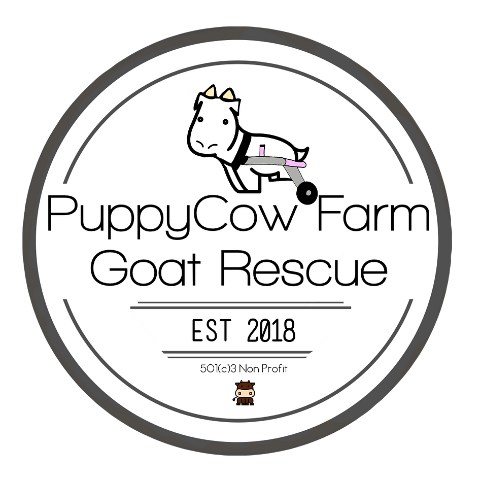 PuppyCow Farm Goat Rescue