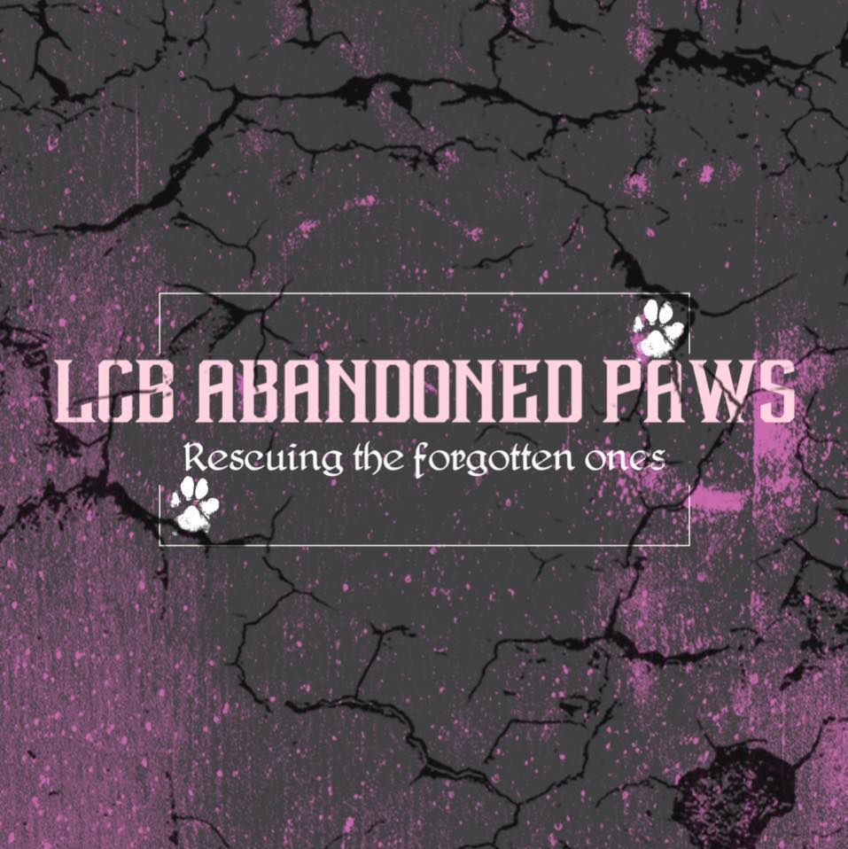 LCB Abandoned Paws