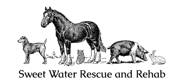 Sweet Water Rescue and Rehab Inc