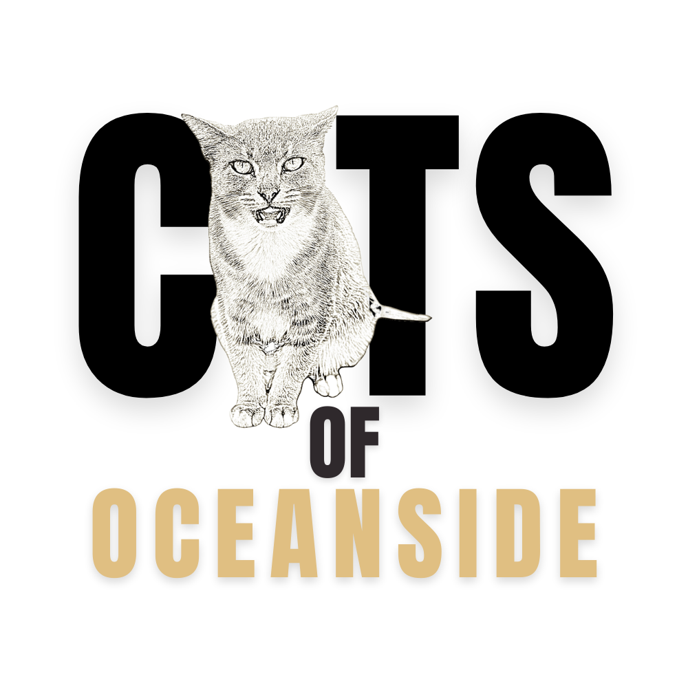 Cats Of Oceanside