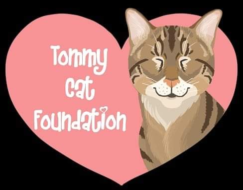 Tommy Cat Foundation