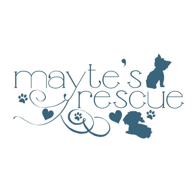 Mayte's Rescue