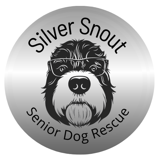 Silver Snout Senior Dog Rescue