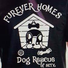 Furever Homes Dog Rescue Of SETX