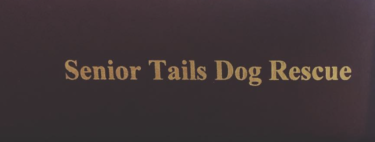 Senior Tails Dog Rescue