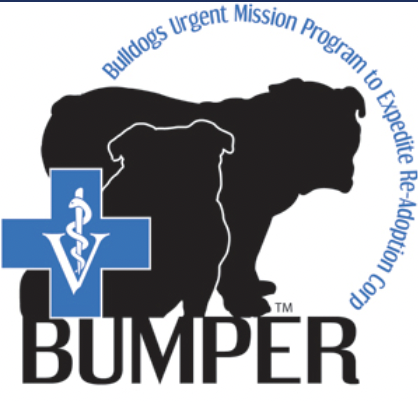 BULLDOGS URGENT MISSION PROGRAM TO EXPEDITE READOPTION