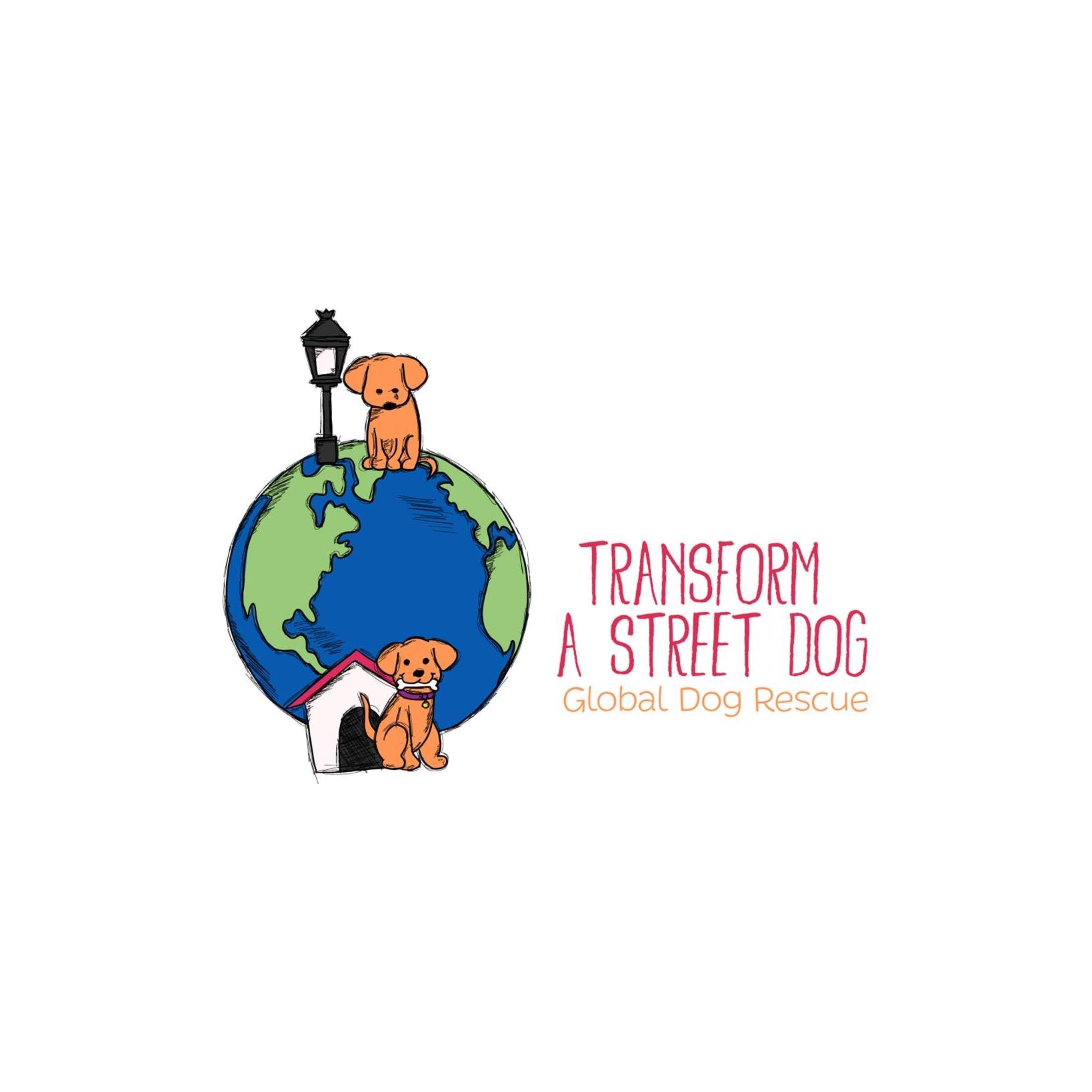 Transform A Street Dog
