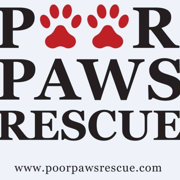 Poor Paws Rescue