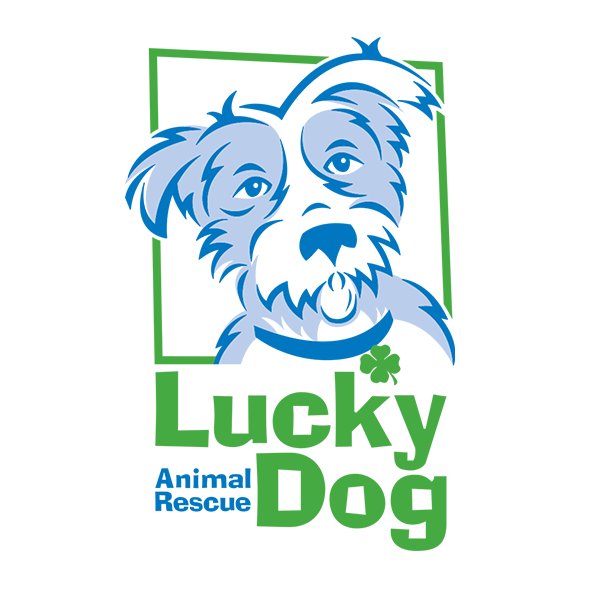 Lucky Dog Animal Rescue