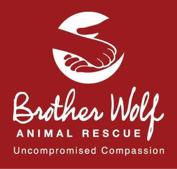 Brother Wolf Animal Rescue