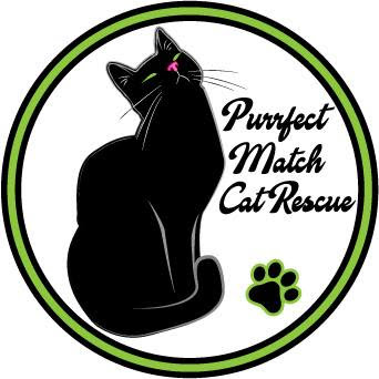 Purrfect Match Cat Rescue