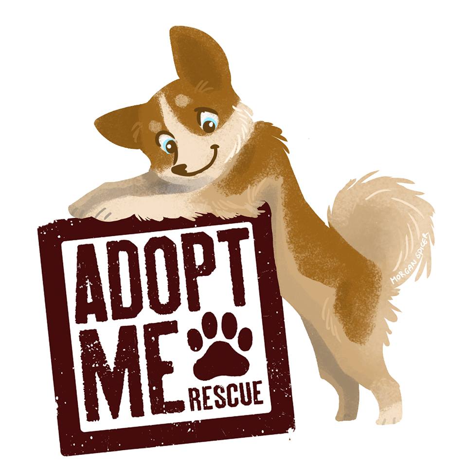 Adopt Me Rescue