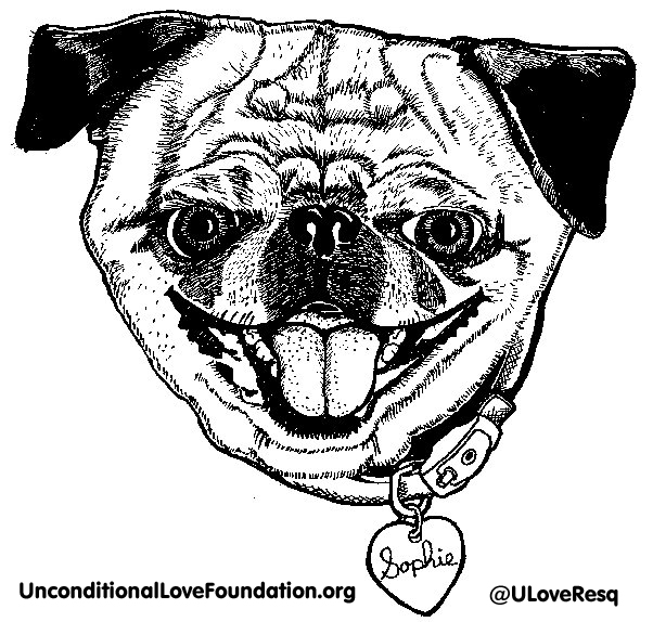 Unconditional Love Foundation